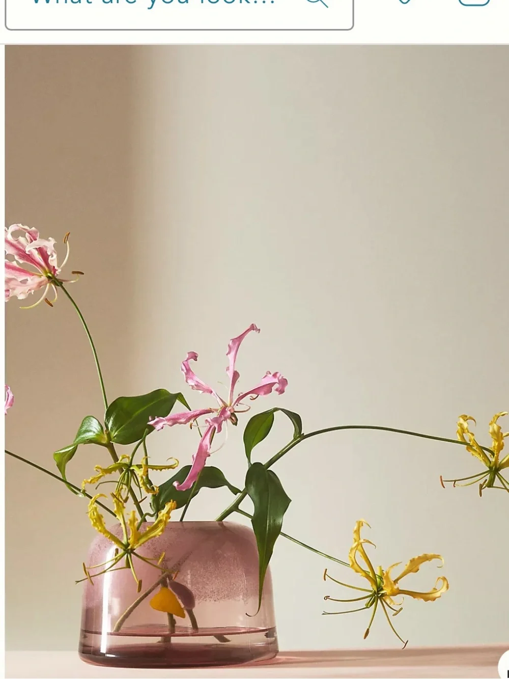 NWT Anthropologie Lullia Pink Art Glass Vase